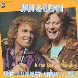 Jan And Dean : One Summer Night Live